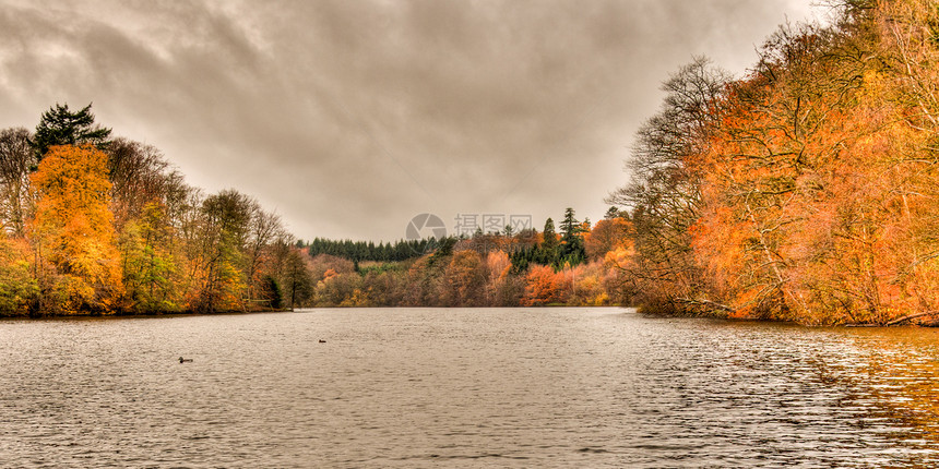 秋季湖天空池塘农村湖畔木头反射树叶森林美丽荒野图片