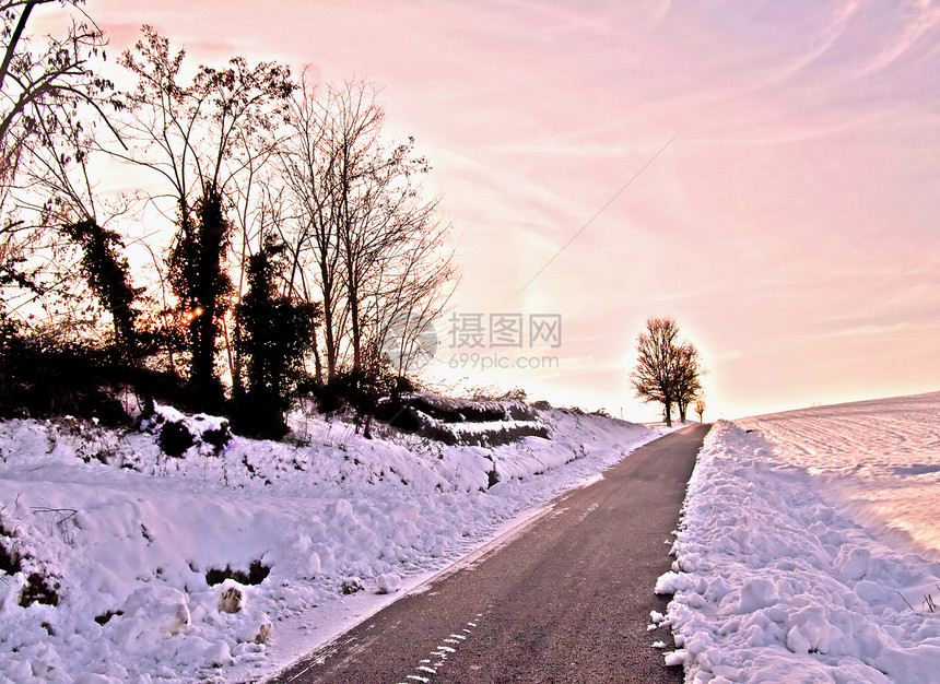 雪雪景观降雪森林天气太阳国家荒野橙子假期美丽公园图片