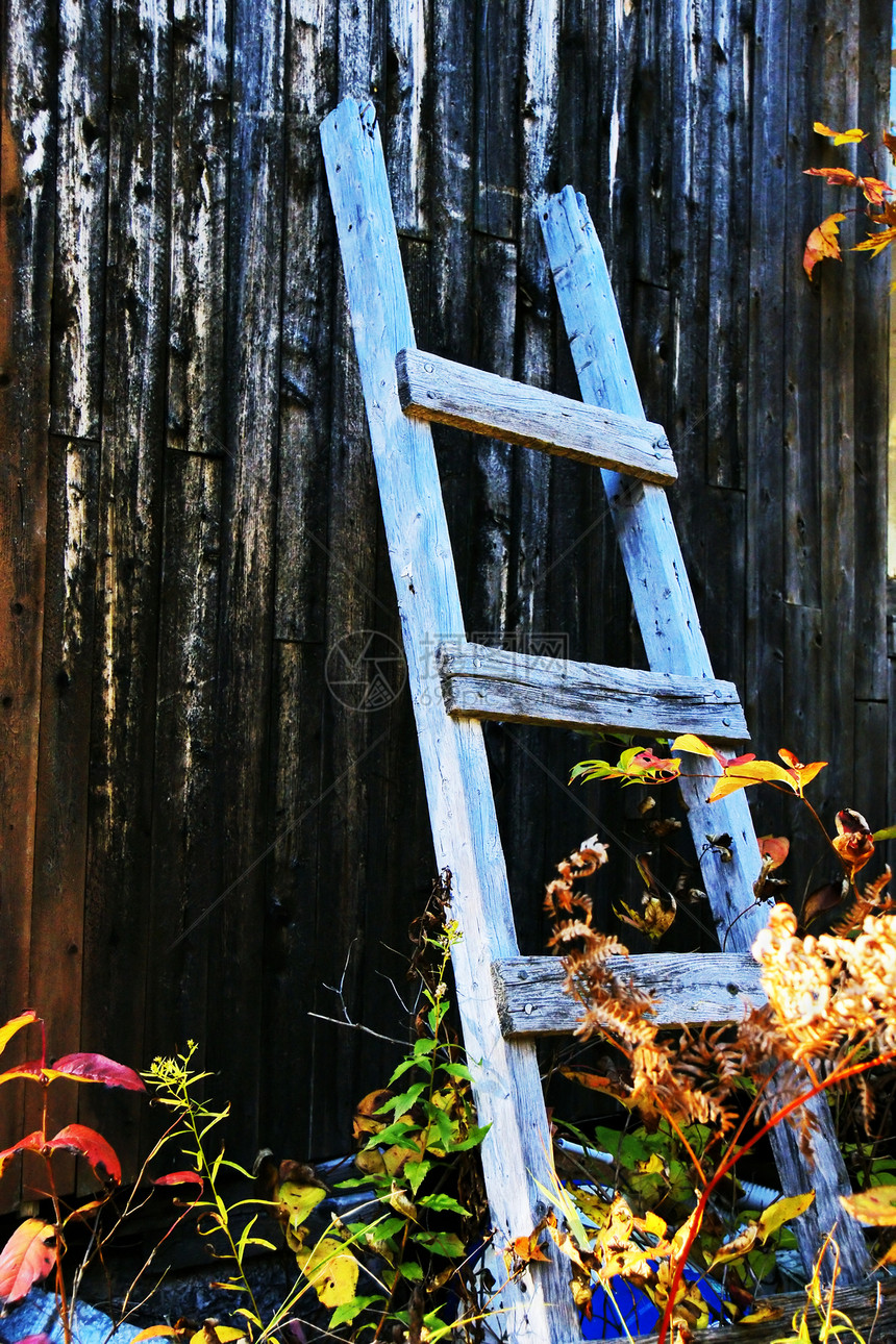 梯子靠在旧木屋的墙上图片