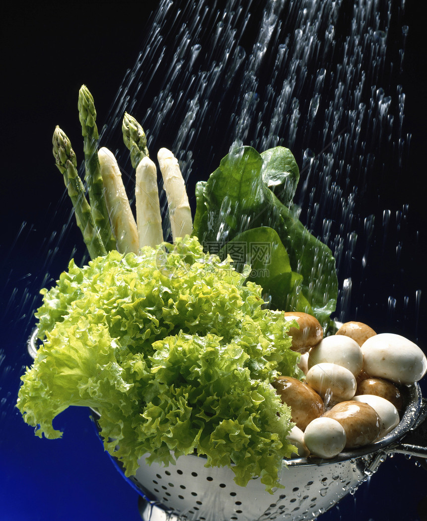 沙拉蘑菇食物绿色维生素饮食图片