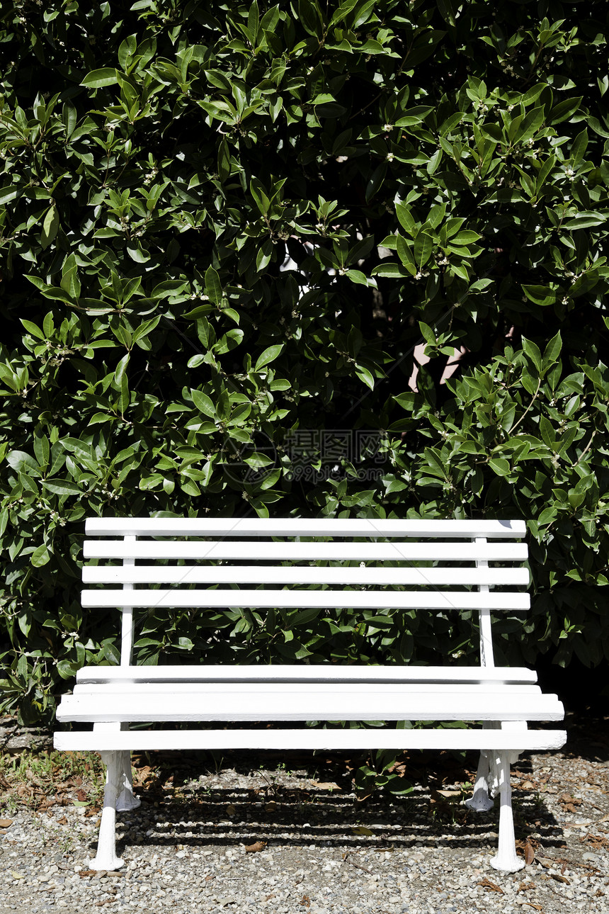 白席闲暇休息花园椅子座位家具长椅白色木头公园图片