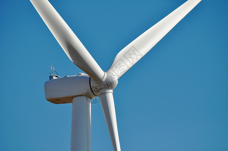 风风涡轮资源技术树木绿色科技风车涡轮机场地风力背景图片
