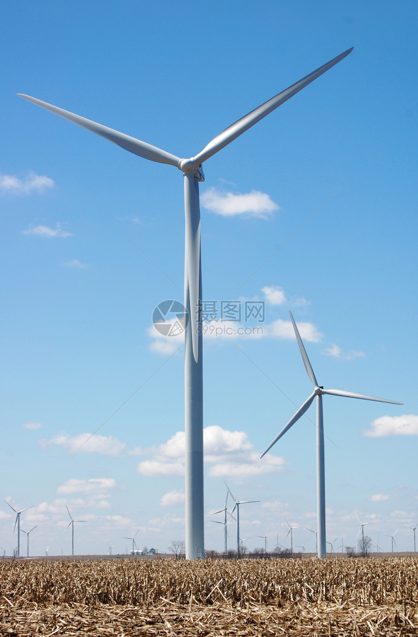 风风涡轮科技风力风车树木资源涡轮机技术场地绿色图片