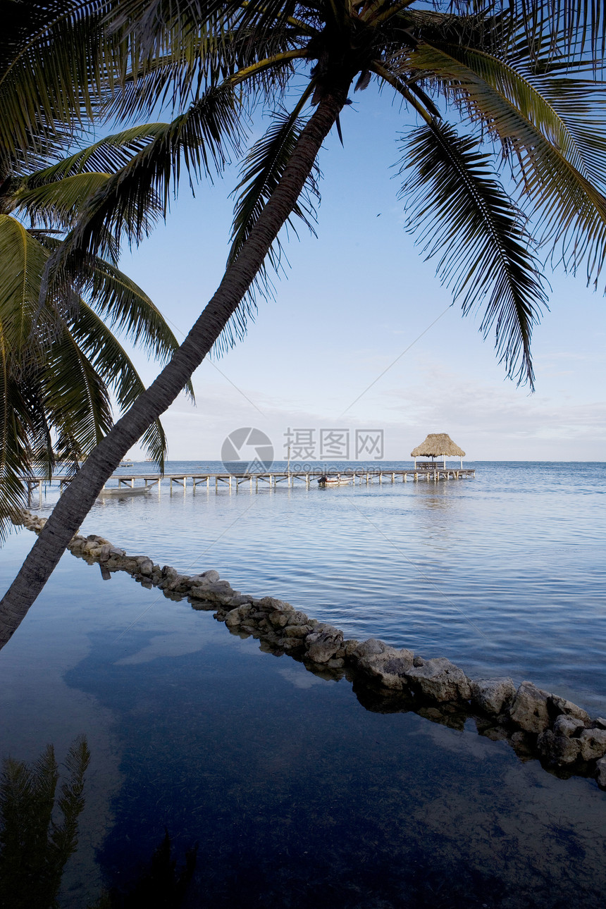 宁静的海岸上的棕榈游客阳光旅游地平线天堂海洋天空太阳蓝色假期图片