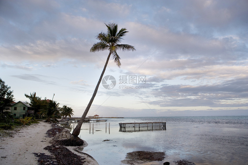 浅水中的鱼粉和Egret放松海景海浪游客旅行旅游支撑蓝色假期晴天图片