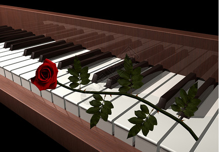 钢琴音乐玫瑰红色背景图片