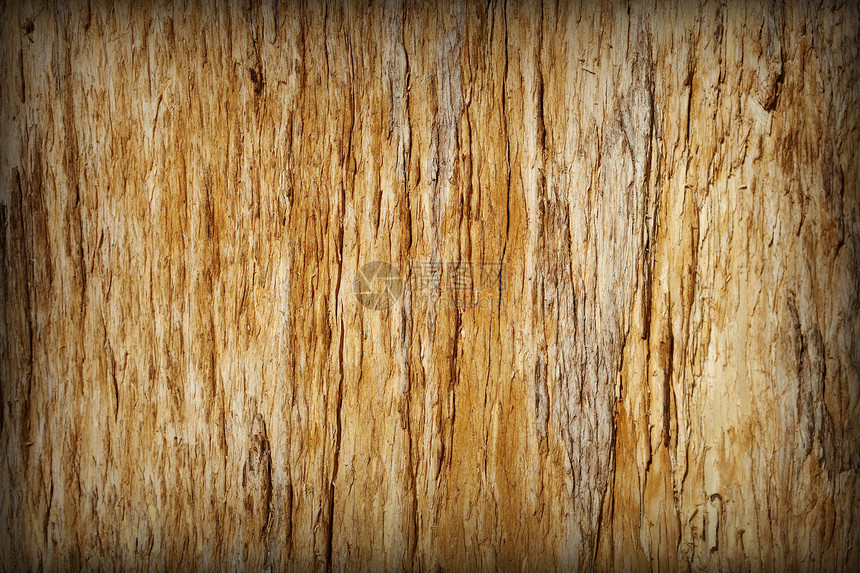 背景 - 有裂缝的棕色腐烂树图片