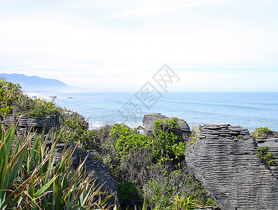 格雷茅斯Punakaiki的煎饼摇滚会 西海岸 新西兰南岛背景