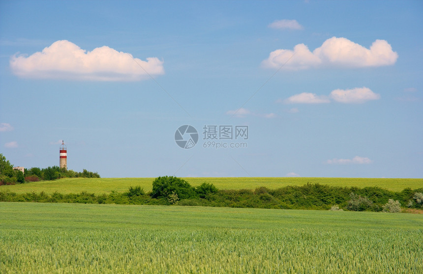 外地小麦爬坡土地食物农村农场培育草地工作天空图片