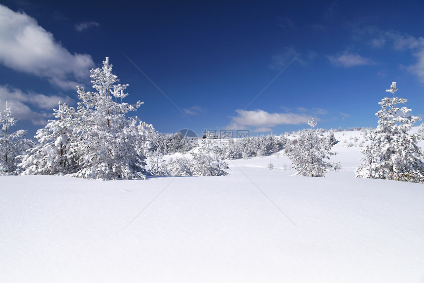 冬天爬坡季节树木天空乡村广场假期森林国家风景图片