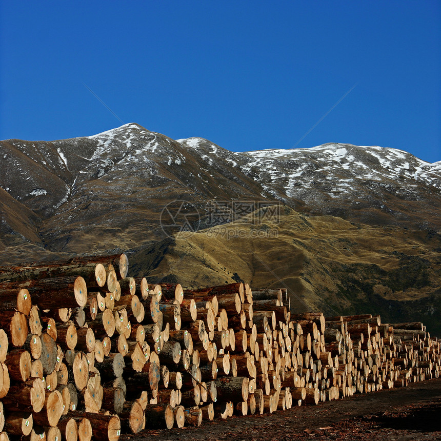 伦伯日志木材树木山脉木头图片