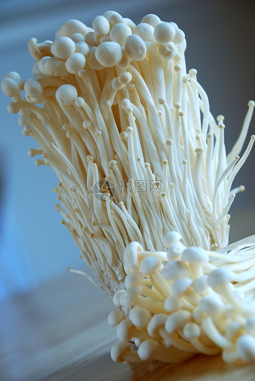 Enoki 蘑菇菌类蔬菜白色调味品牡蛎食物图片