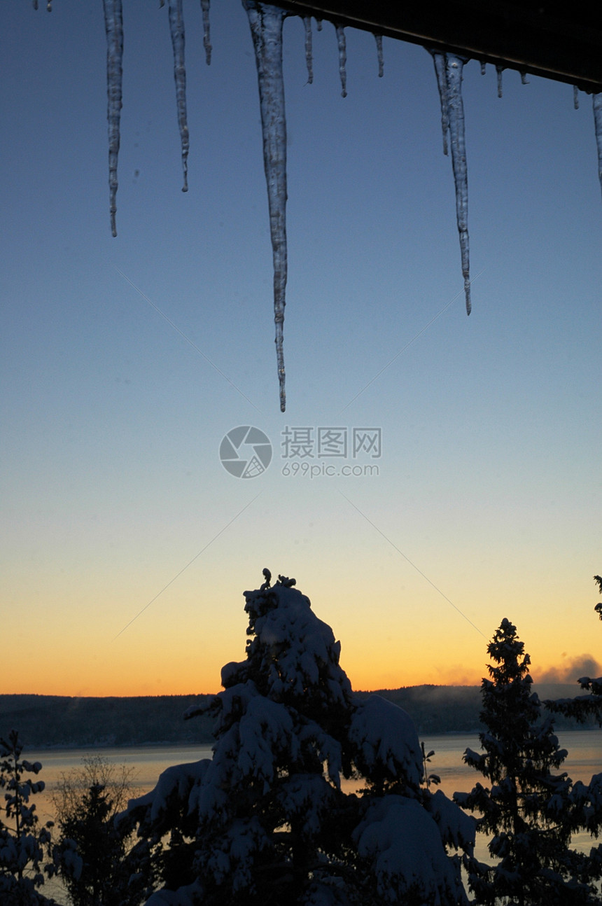 冬季日落滑雪树木天空松树云杉太阳图片