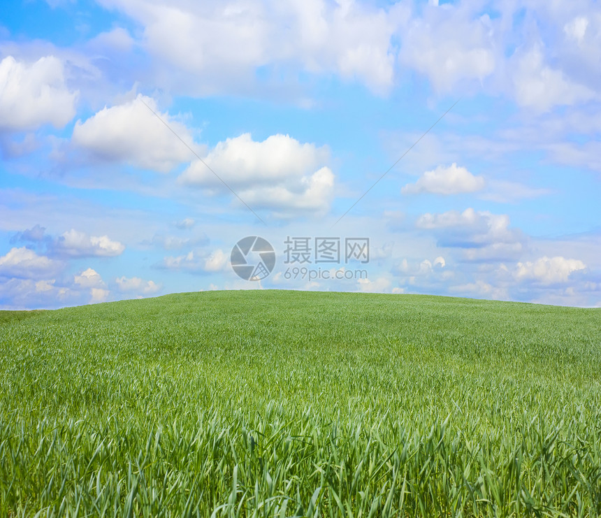 山上的青草 蓝天天气牧场蓝色爬坡农业草地场地自由季节场景图片