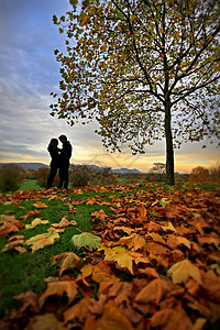 秋天浪漫背景图片