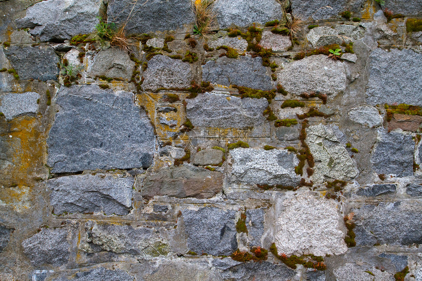 有绿苔的石墙植物乡村岩石苔藓灰色建筑地衣历史绿色材料图片