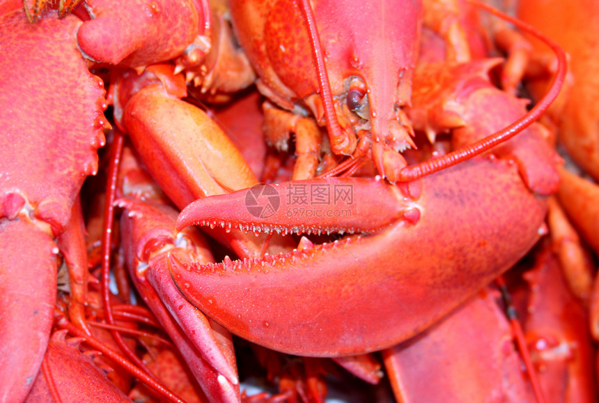 龙虾爪新鲜度熟食海鲜红色贝类用餐食物美食图片