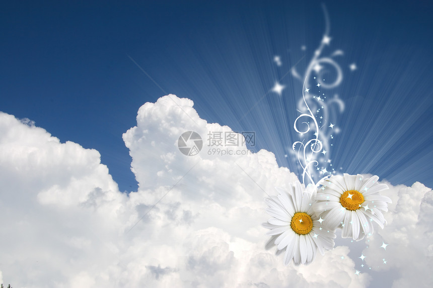花际天空背景天堂雏菊纪念日云景框架蓝色自由空气花束庆典图片