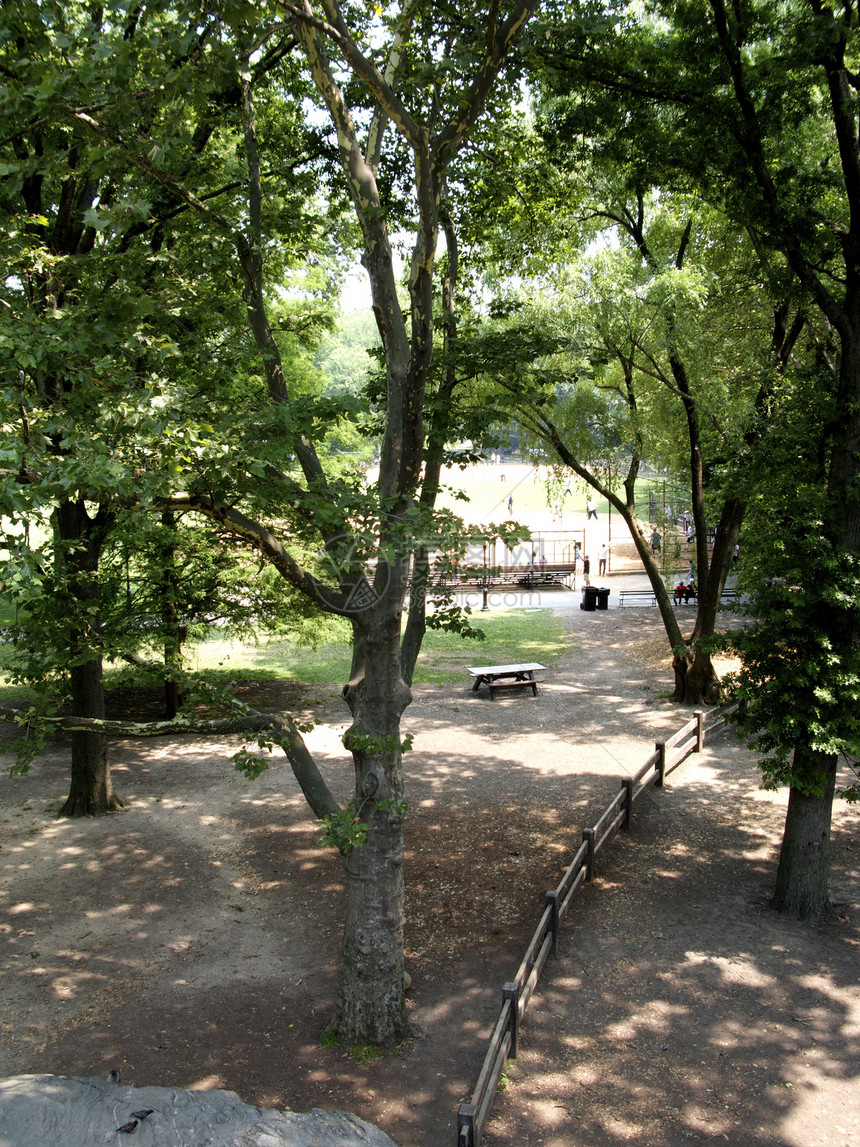 纽约市中央公园观光旅行历史旅游绿色公园城市市中心景观地标图片