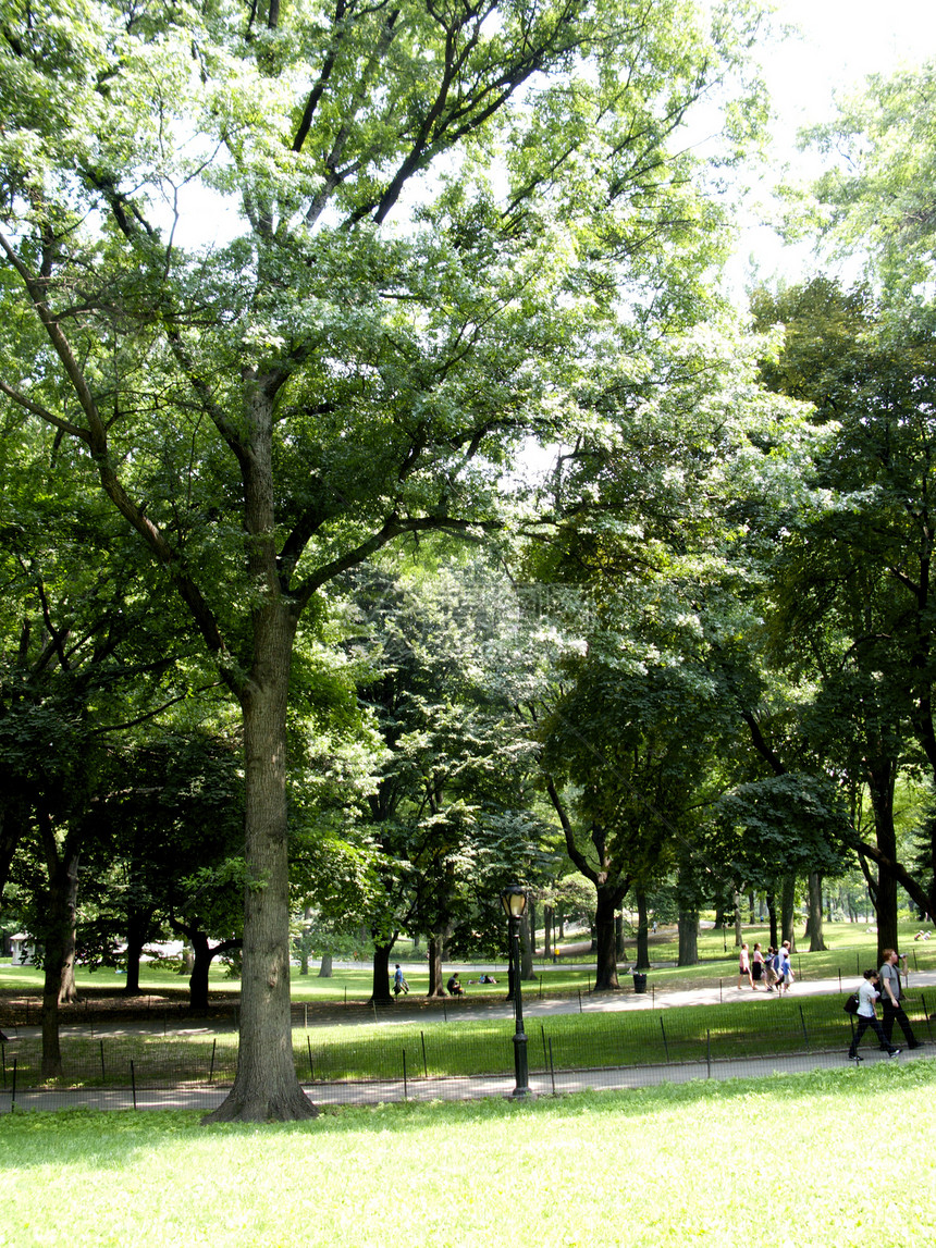 纽约市中央公园旅行公园游客假期闲暇历史市中心吸引力地标景观图片