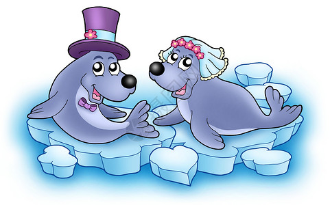 海豹卡通带有可爱海豹的婚礼形象背景