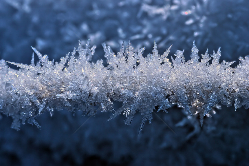 冰霜密闭宏观季节粒状图片