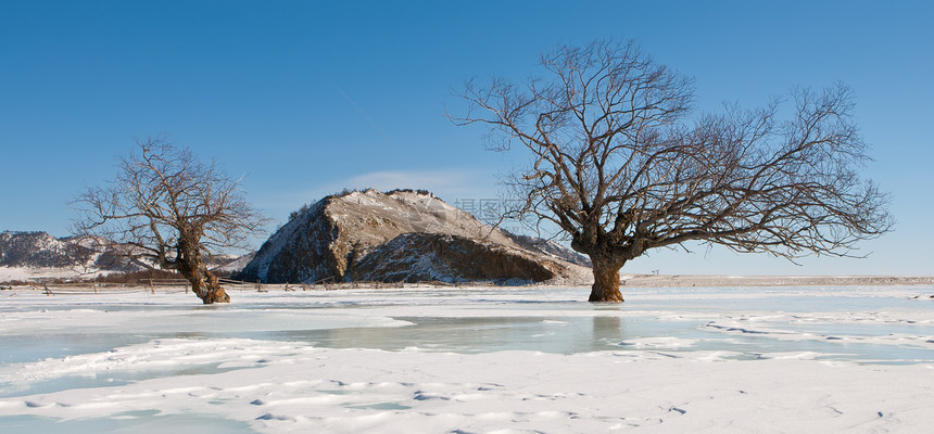 冰雪中的树木栅栏友谊城市天空阳光白色海岸洪水蓝色图片