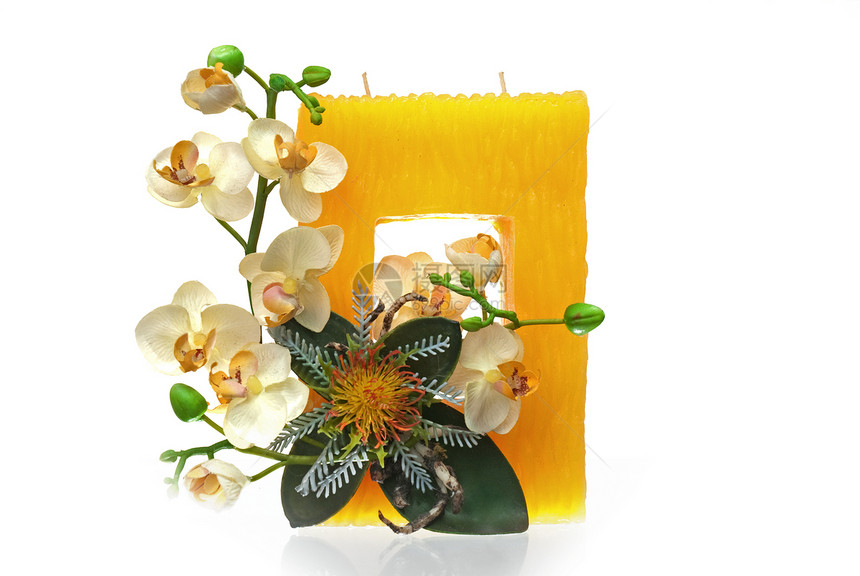大黄蜡烛 装饰花朵温泉展示磁带裂片芳香粉色棕色白色庆典疗法图片