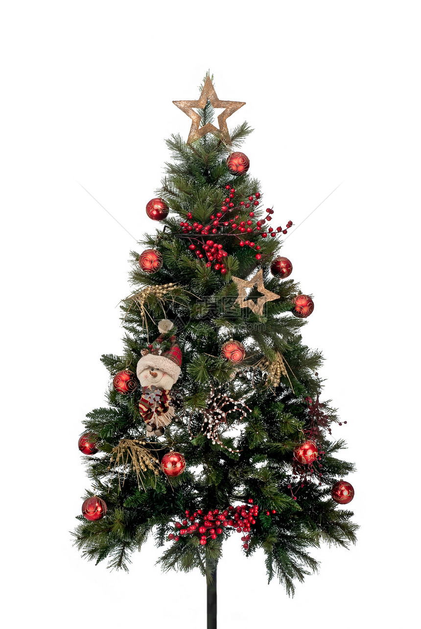 圣诞树绿色白色红色金子明信片松树星星图片