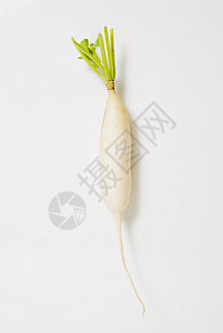白蔬菜收成营养白萝卜叶子食物植物群背景图片