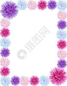 圆形边框花瓣从 aster 花朵的边框粉色团体活力紫色植物框架工作室植物学白色花瓣背景