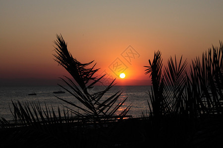 克拉霍布拉兹寂静的日落假期棕榈广场太阳海滩背景