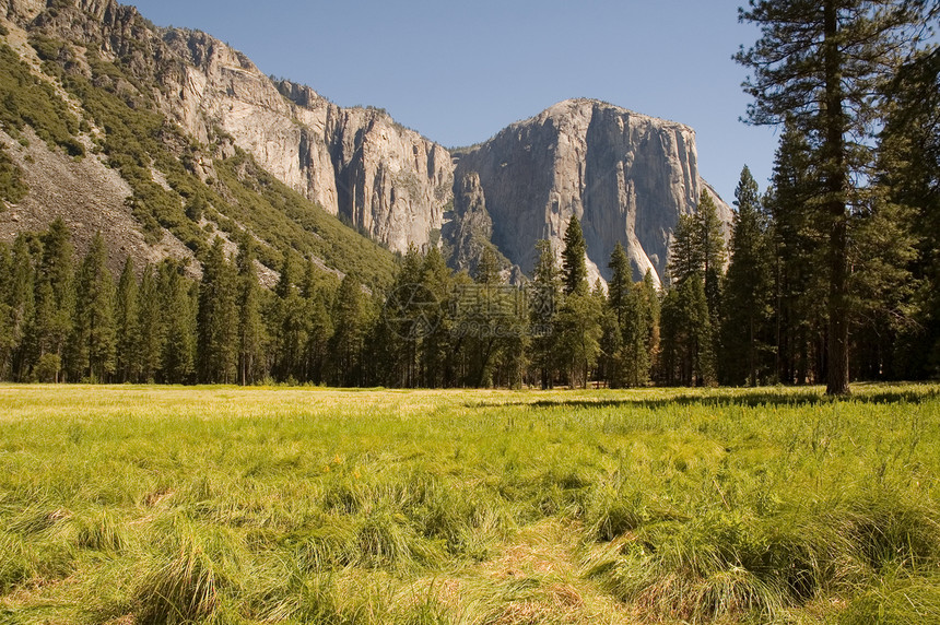 约塞米特河谷和El Capitan山脉花岗岩草地页岩擦洗树木刷子地面巨石悬崖图片