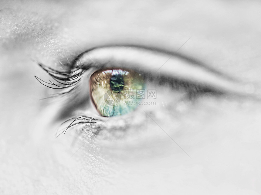眼视宏鸢尾花白色宏观眼球绿色黑色手表女士眉毛瞳孔图片