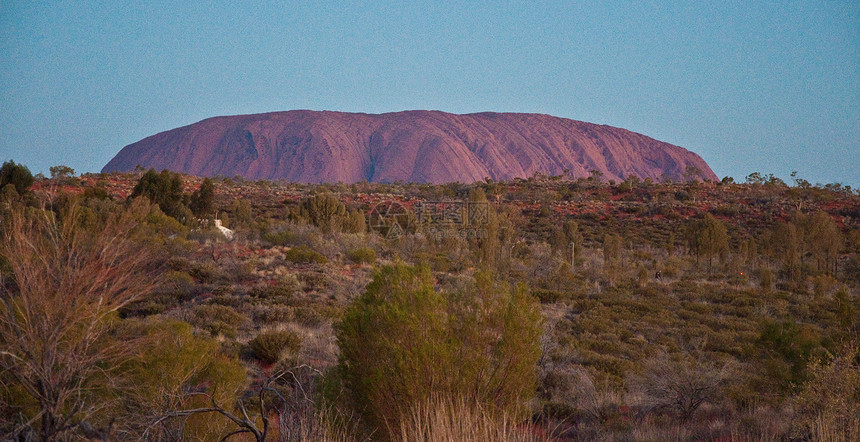 艾尔斯摇滚岩石荒野旅游沙漠红色土地公园爬坡土著旅行图片
