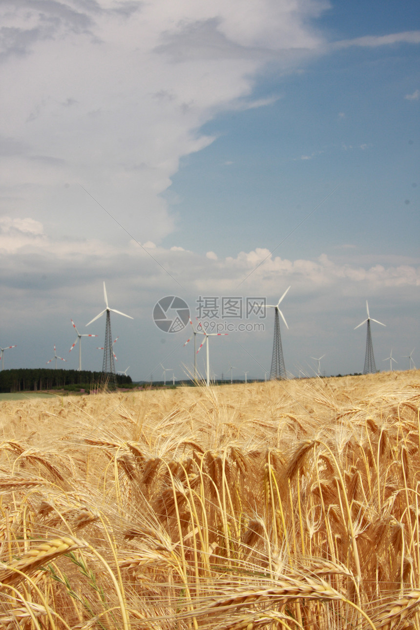 风力涡轮机风车绿色乡村蓝色小麦电机活力大麦图片