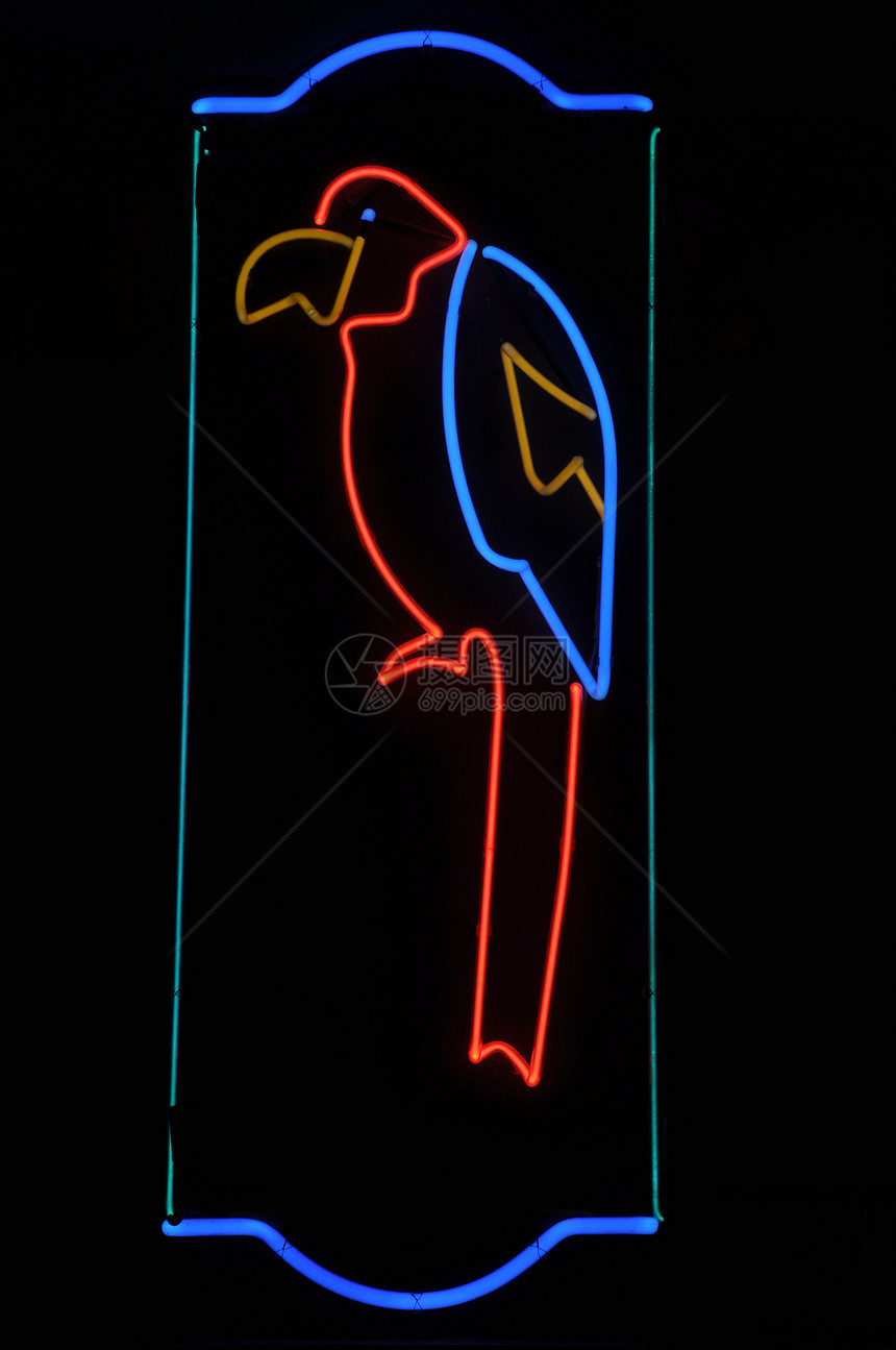 鹦鹉神经信号图片