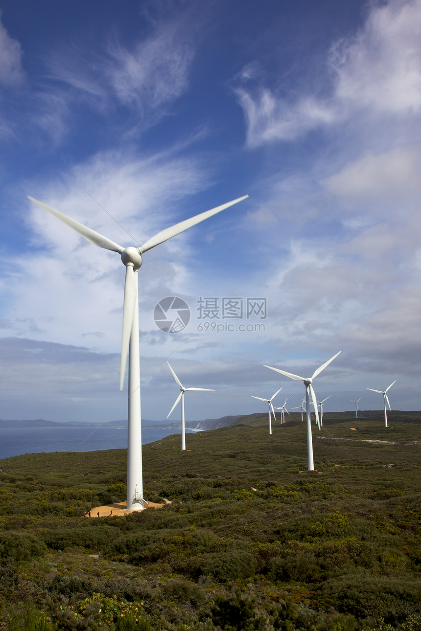 奥尔巴尼风力农场活力爬坡力量海岸线农场旋转转子天空绿色涡轮图片