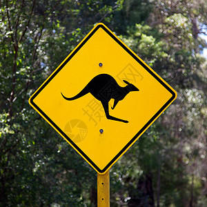 袋鼠标志危险亮色乡村反光板动物地区警告黑色背景图片