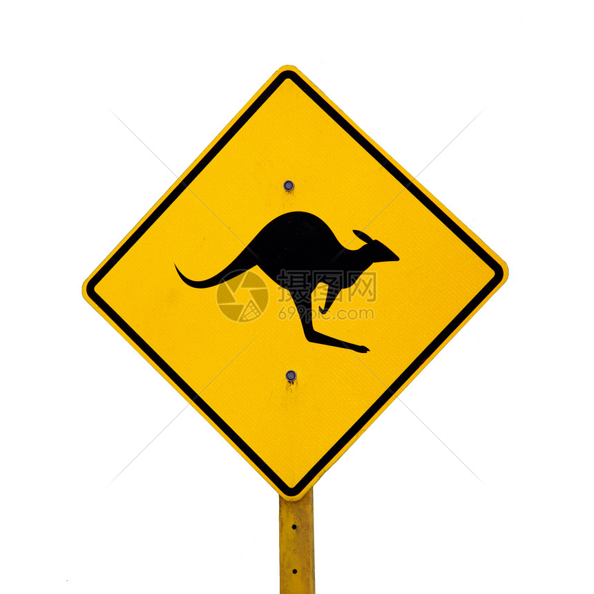 袋鼠标志危险亮色地区警告反光板黑色乡村动物图片