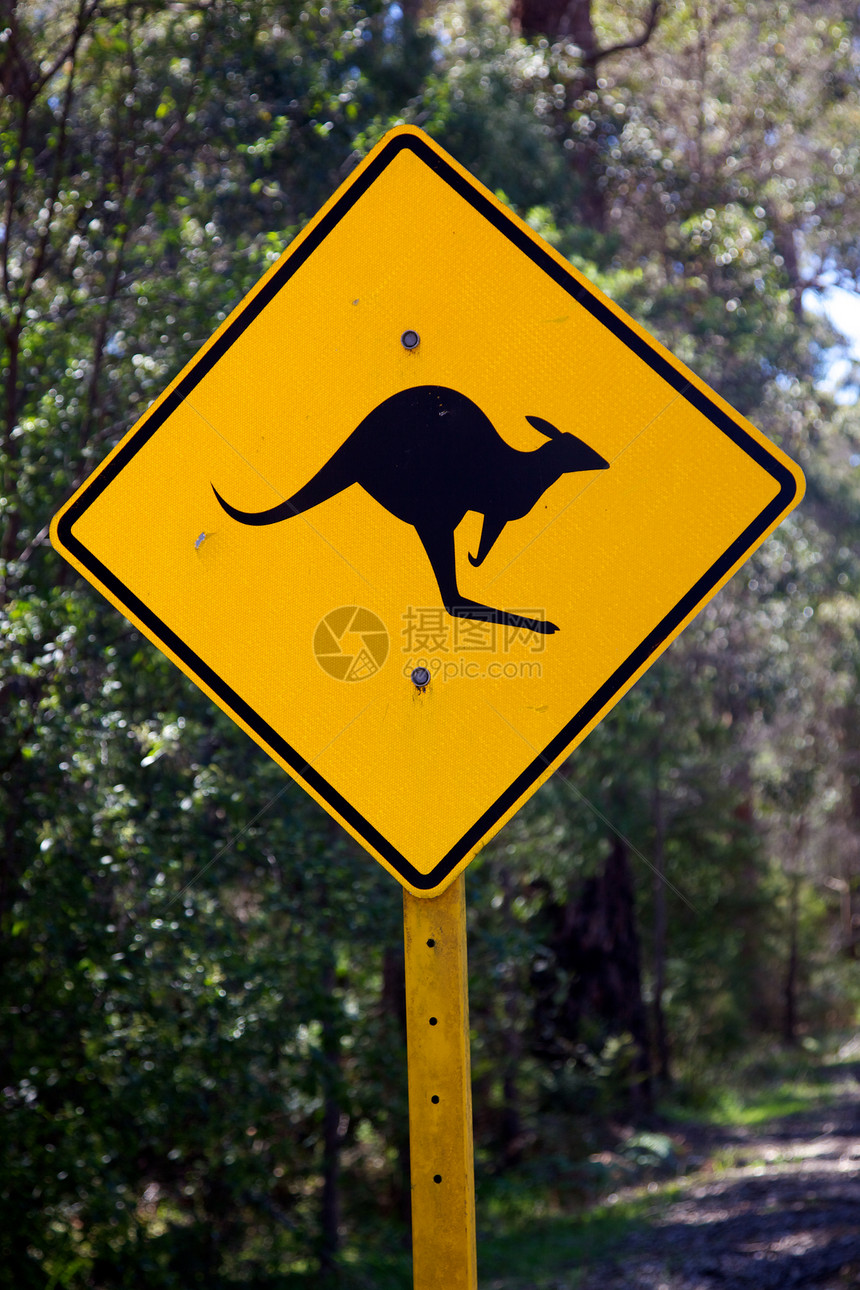 袋鼠标志危险亮色反光板动物地区黄色乡村黑色图片