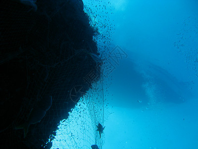 鱼网渔网潜水照片钓鱼海洋生物背景图片