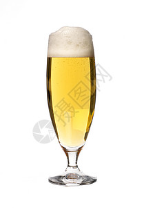 啤酒杯啤酒静物金色服务金子麦芽煮沸器冷饮酒精碳酸背景图片