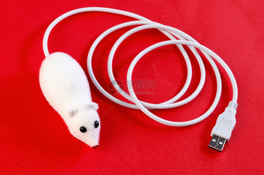 带电缆的白老鼠图片