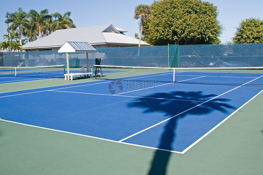 度假网球俱乐部热带比赛娱乐线条假期手掌球拍露台门廊运动图片