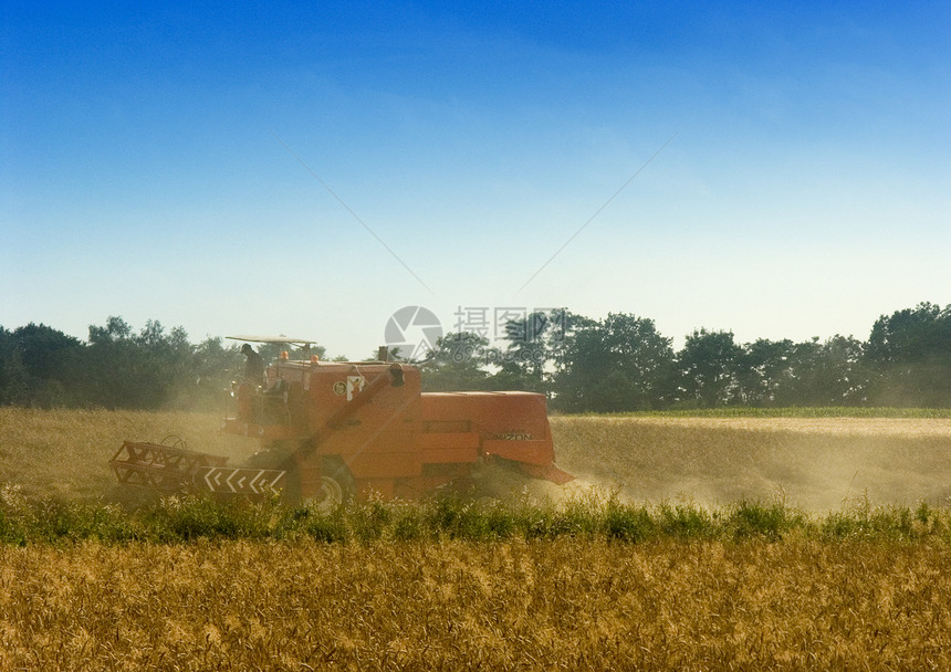 联合公司履行他的工作农业农业机械稻草小麦自动化农场金子草地自然世界园景图片