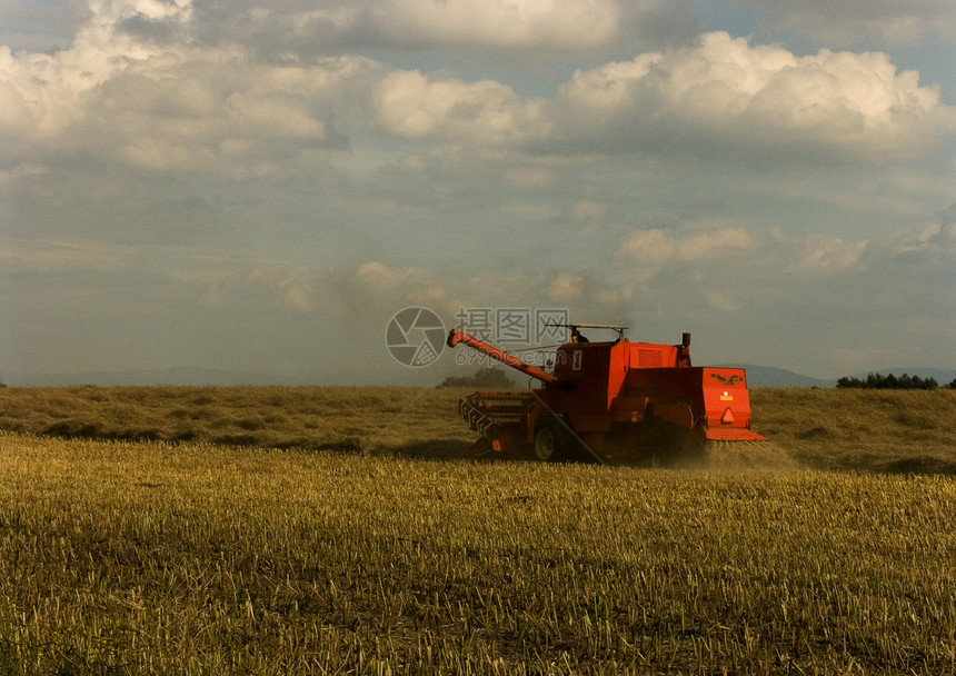 联合公司履行他的工作自然世界风光农民场地田园金子职业园景农场小麦图片