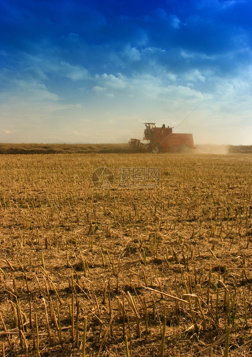 红色组合草地生长农业机械小麦农场土地农民职业风光金子图片
