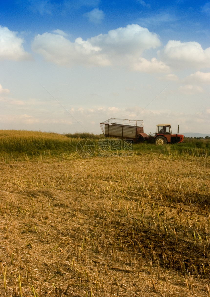 红色组合栽培农民自动化田园草地土地职业金子自然世界小麦图片