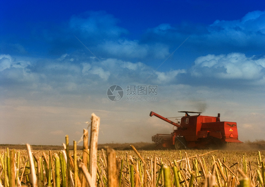 红色组合天空金子稻草收获职业风光农业机械农场农民栽培图片